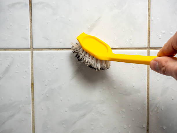 Best Fast Mold Removal  in North Fond Du Lac, WI
