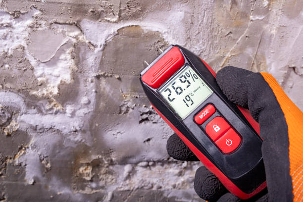 Best Office Mold Removal Services  in North Fond Du Lac, WI