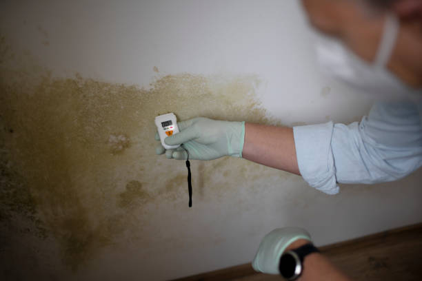 Best Mold Testing  in North Fond Du Lac, WI